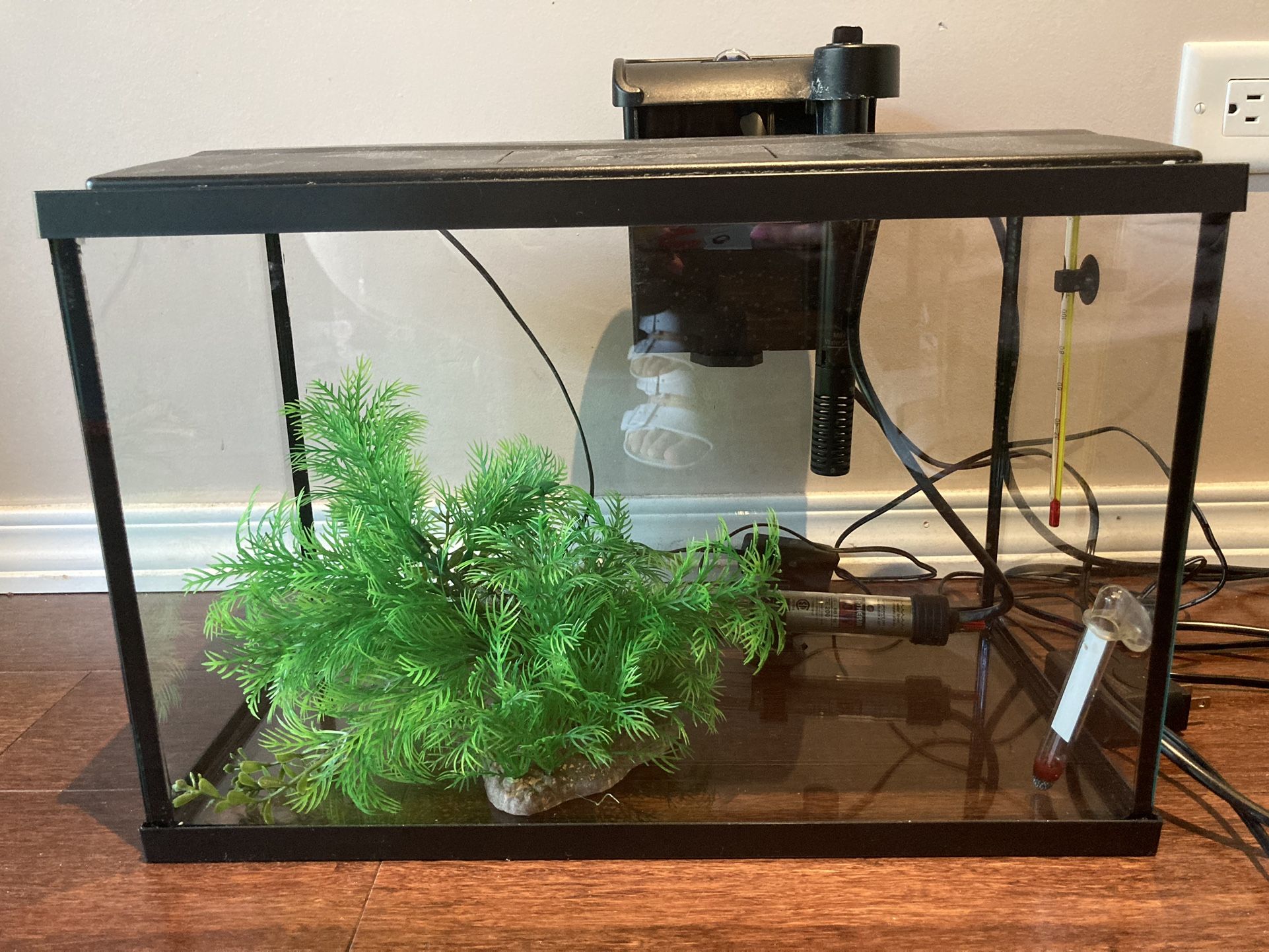 5 Gallon Aquarium Kit
