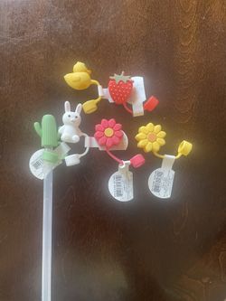 Stanley Straw Toppers $5.00 each. Glass Straw Included