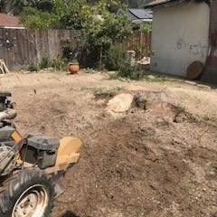 Stump Grinding 