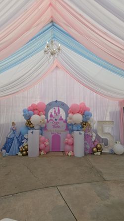 Princess Theme Cinderella Aurora