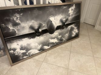 Z Gallerie Wingspan Canvas In Frame
