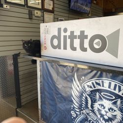 DITTO by Singer