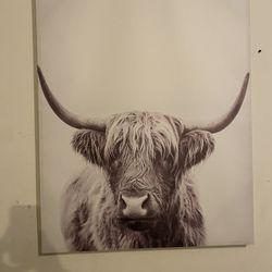 Large Cow Photo