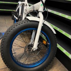 Fat Tire Ebije