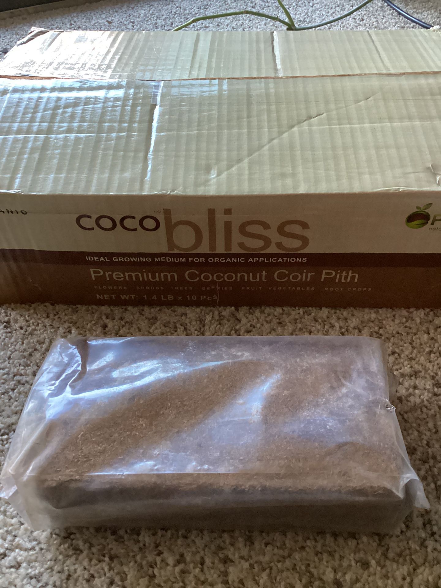 Coco Bliss Coconut Coir