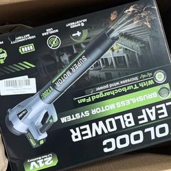Cordless Leaf Blower w/ Battery