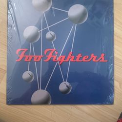 Foo Fighters Vinyl 