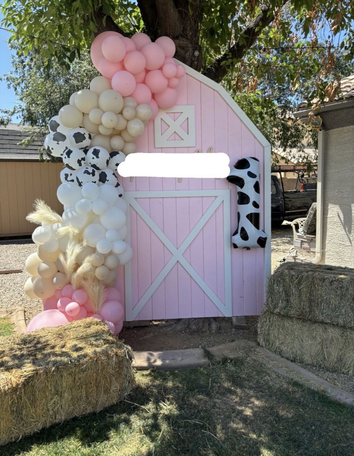 Pink Barn Backdrop