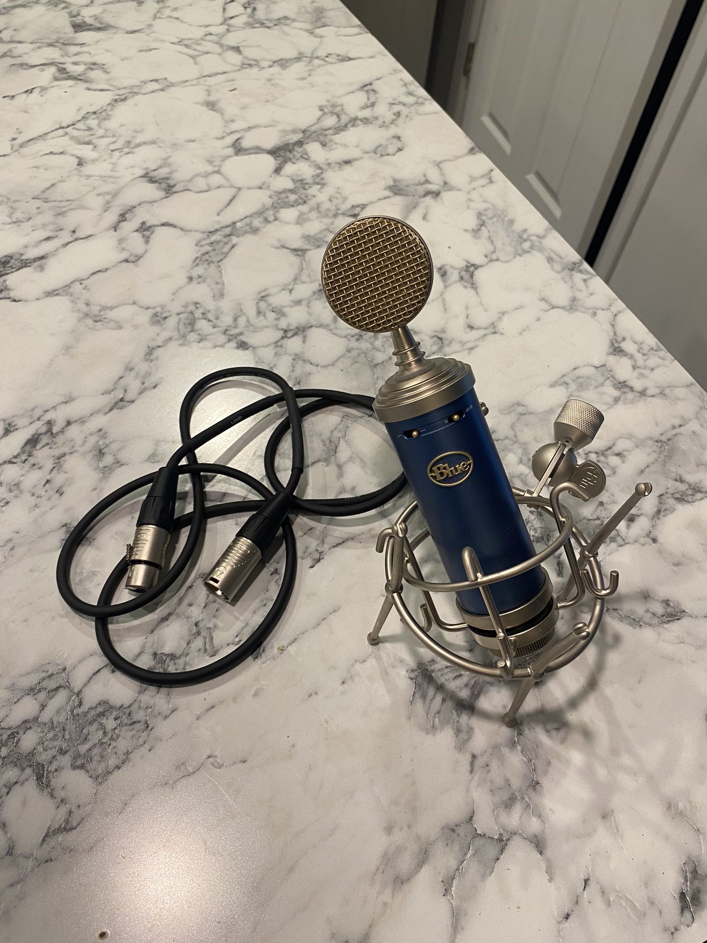 Bluebird SL Microphone