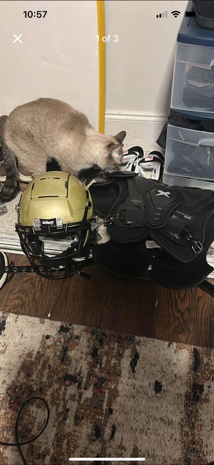 F7 And Pads ( Might Throw In A Purple Visor)