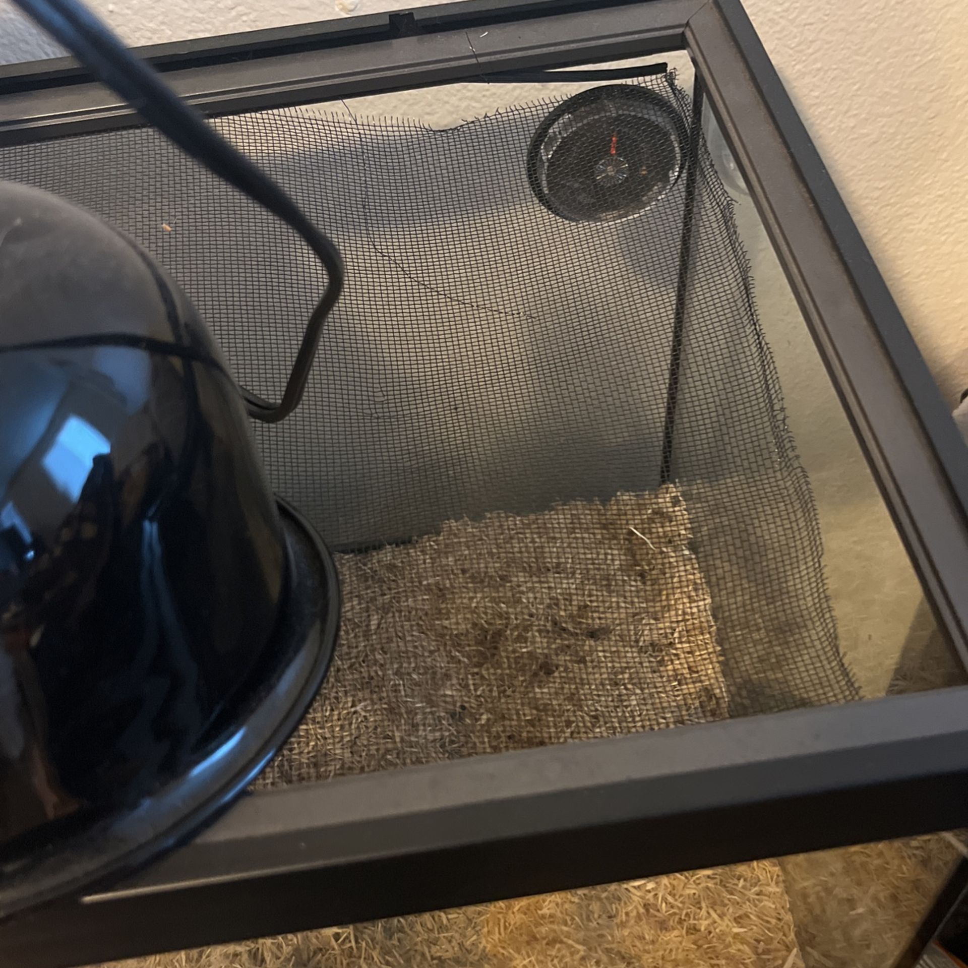 Reptile Tank And Stuff For Sale