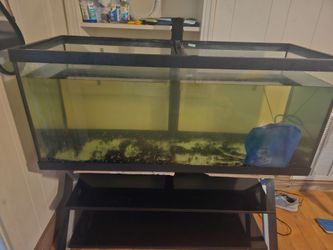 aquarium 65gal