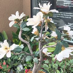 Artificial Potted Flowers 