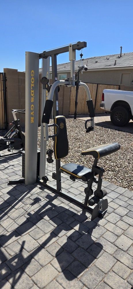 Golds Gym Workout Weight All In One