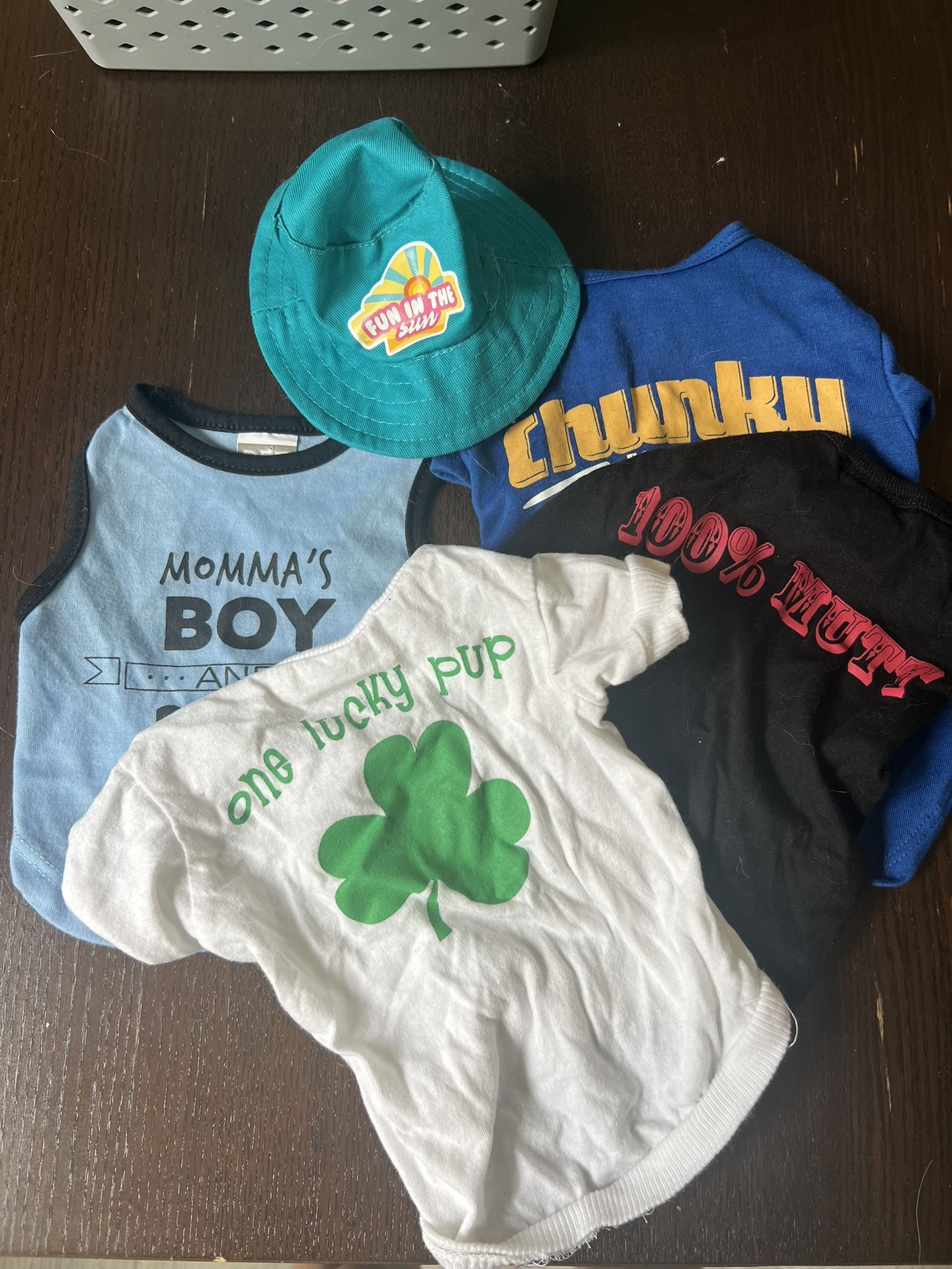 Pet shirts