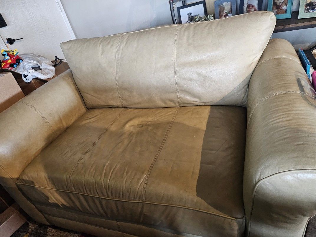 Twin Pull Out Sofa Chair