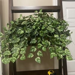 Artificial Plant / Fake Plant 