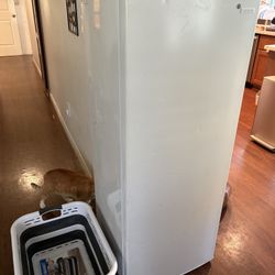 Insignia - 5.8 Cu. Ft. Upright Freezer - NS-UZ58WH6