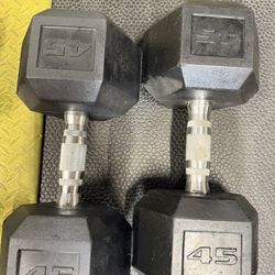 45lb Dumbbells 