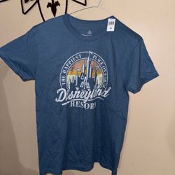 Disneyland Resort The Happiest Place on earth Castle Size M