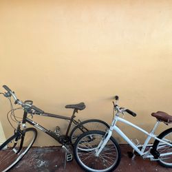 2 Adult Bikes
