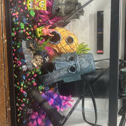 Fish Tank 