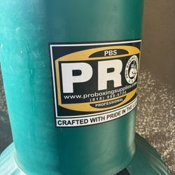 Pro Boxing® Free Standing Bag 120 lbs