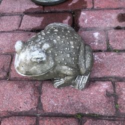 Concrete Frog