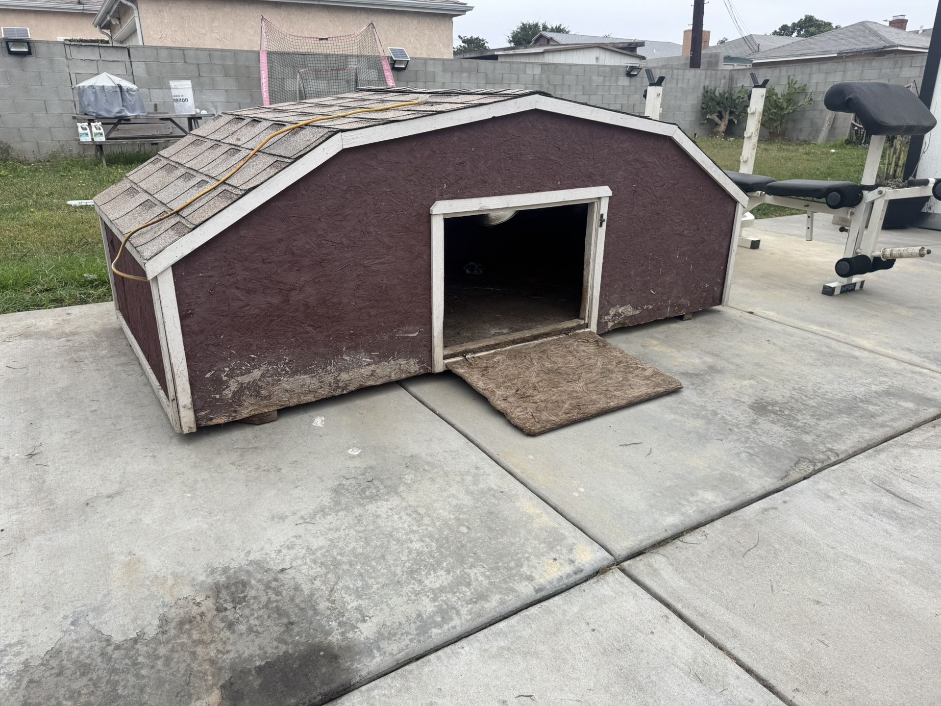 Tortoise Den Or Dog House Fairly New