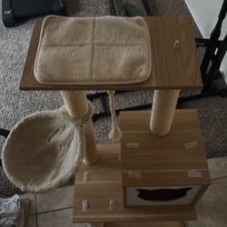 Cat Tree 10/OBO