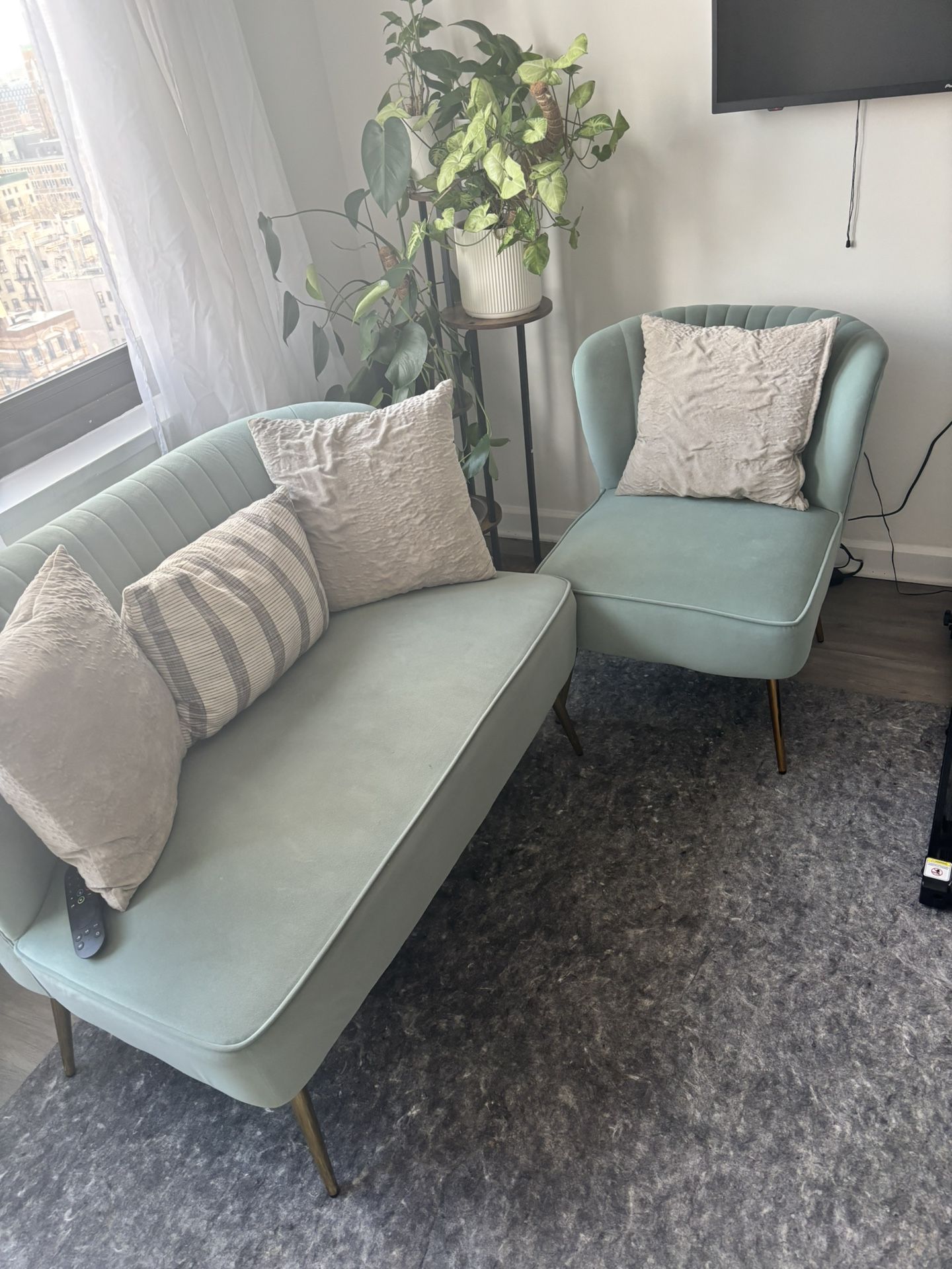 Small Couch and Chair Set