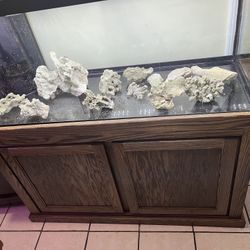 Fish Salt Water Tank 