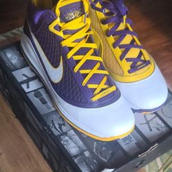 Dunk SB Chicago Size 14 Mens X LeBron Media Day Size 15 Mens