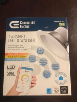 4 in smart led downlight NEW