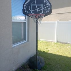 Lifetime Basketball Hoop 