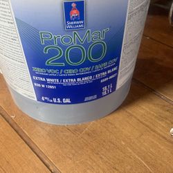 5 Gallons Promar 200 Flat