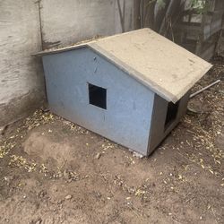Dog House