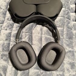 Apple Headphones Max