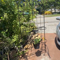  Plant Stand Trellis, with 9  rings designed to hold potted plants
