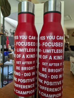 Insulated Double Walled Water Bottle, 16 oz