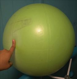 Yoga ball