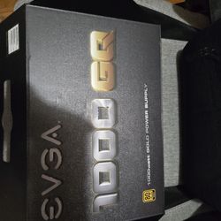 EVGA GQ 1000W 80+ Gold