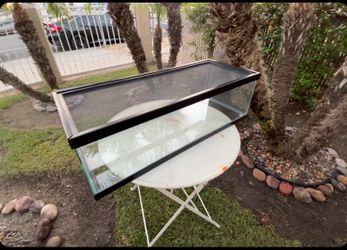 Reptile tank