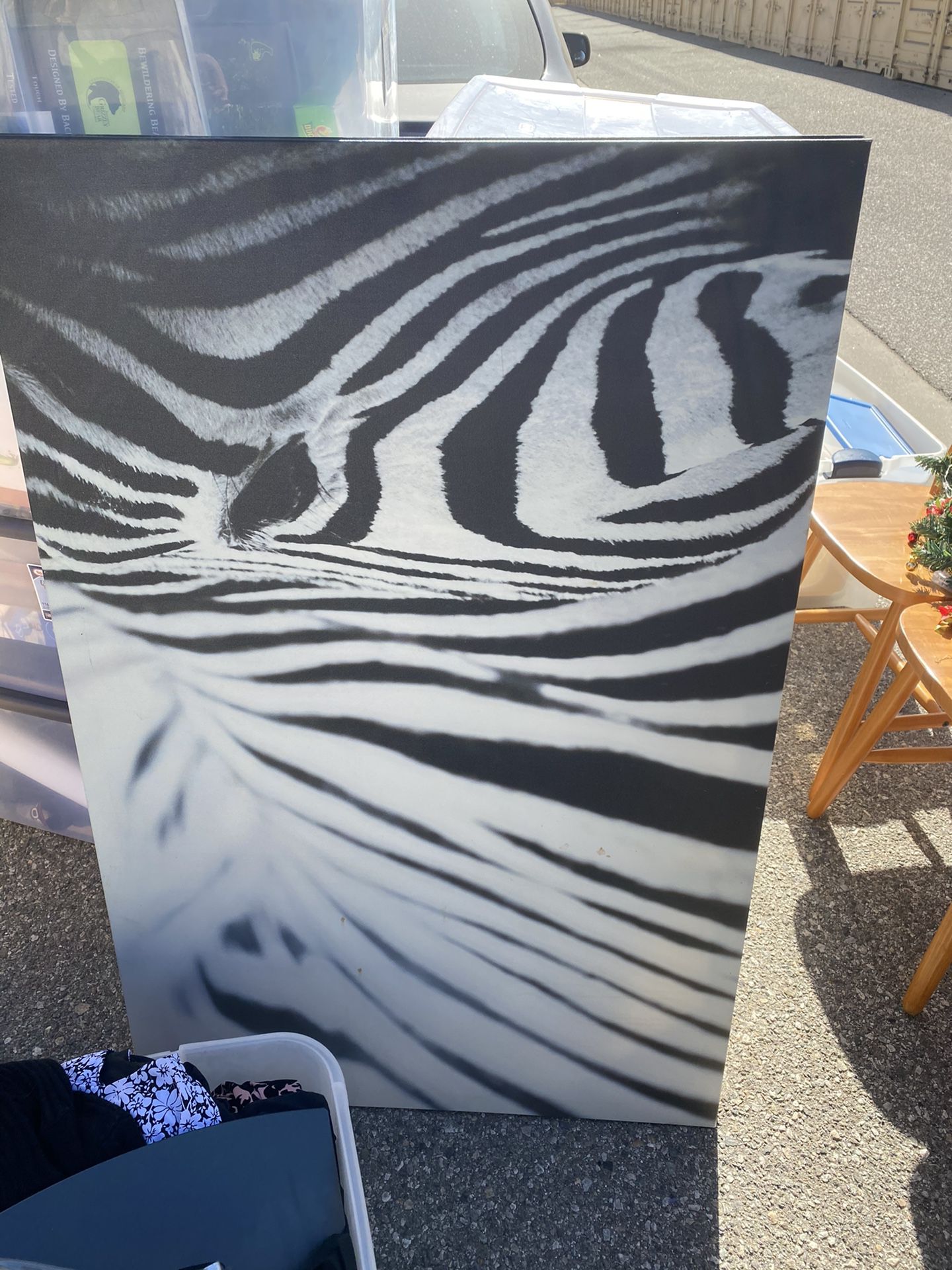 IKEA Zebra canvas print - FREE