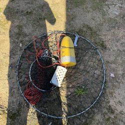 Lobster hoop Net