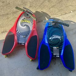 Spinner Shark