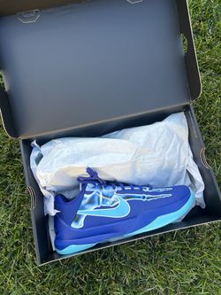 Kobe 5 X-Ray