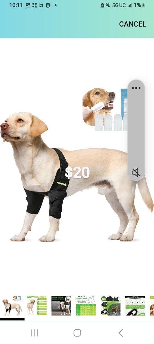 Dog Double Front Leg Brace Catupunis