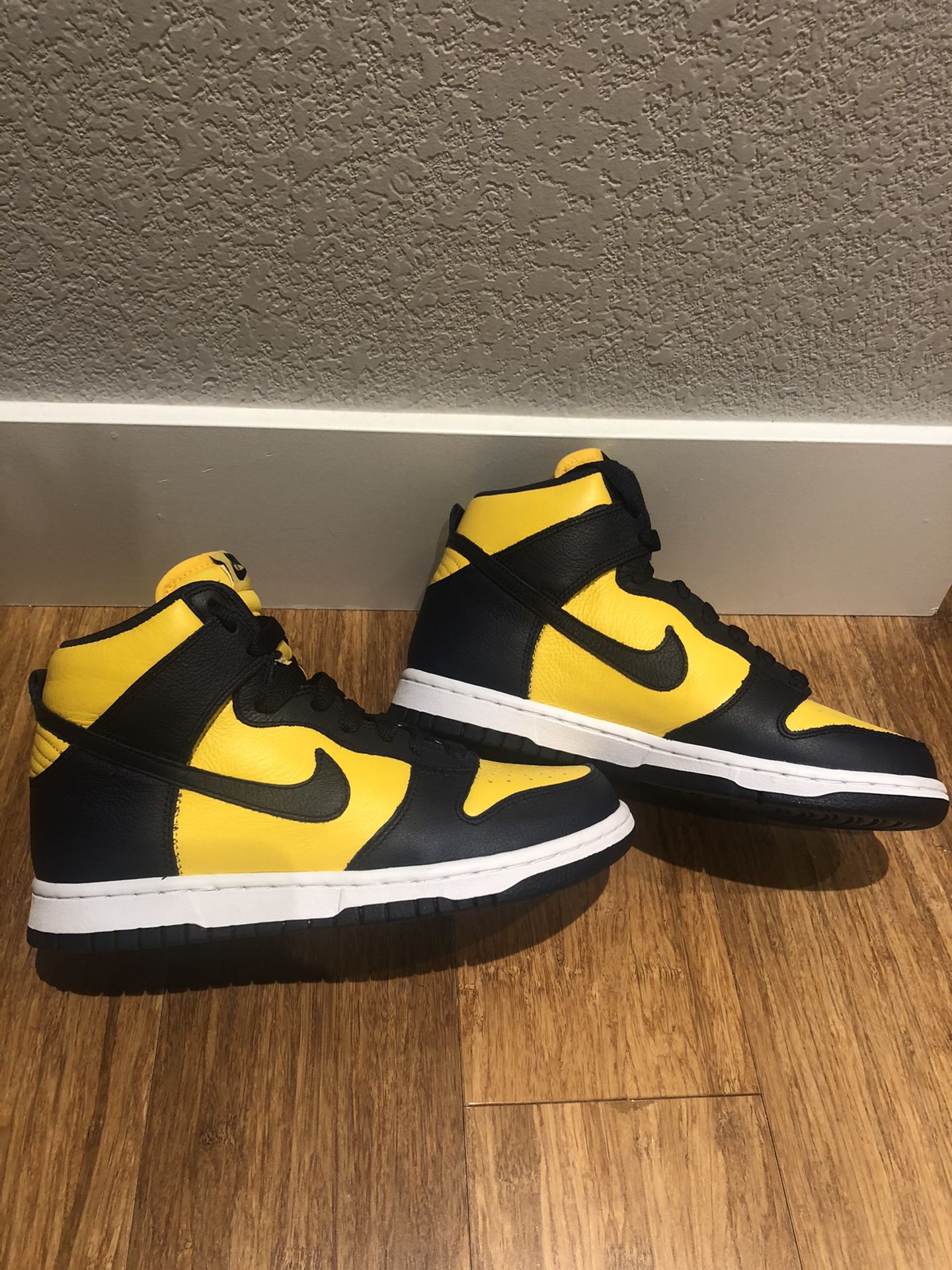 RARE Nike Sb Dunk High Michigan