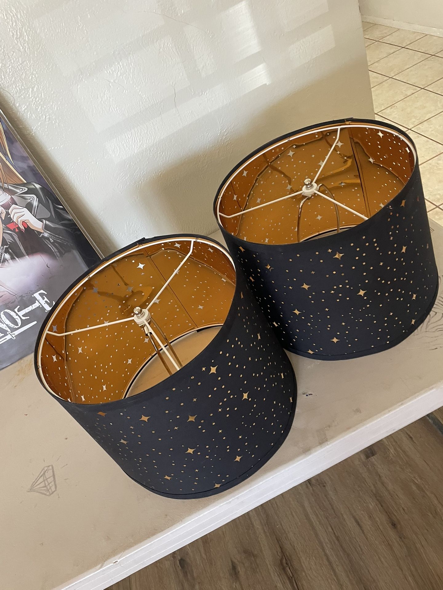 2 Lamp Shades
